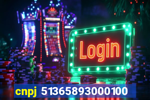 cnpj 51365893000100